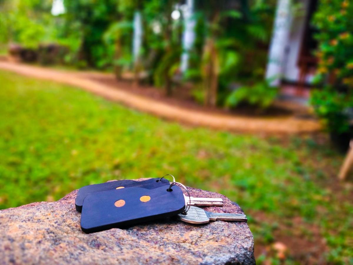 Woodholic Homestay Sigiriya Exterior foto