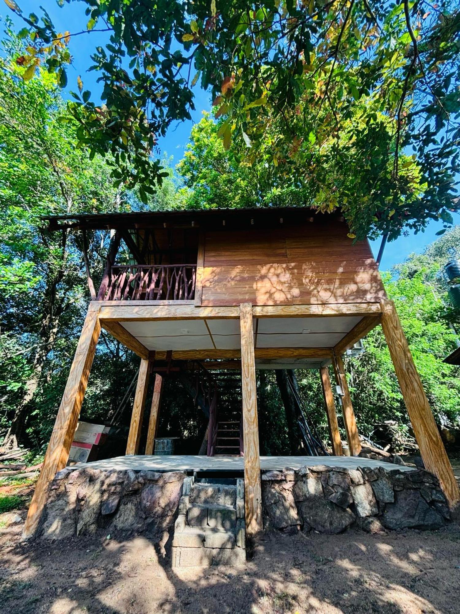 Woodholic Homestay Sigiriya Exterior foto